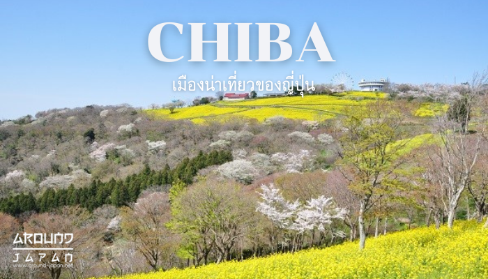 ชิบะ เมืองน่าเที่ยวของญี่ปุ่น จังหวัดชิบะ เป็นอีกที่ที่น่า เที่ยวญี่ปุ่น และยังมีสถานที่ท่องเที่ยวในจังหวัดนี้อีกหลายแห่ง อยู่ท่ามกลางทะเล